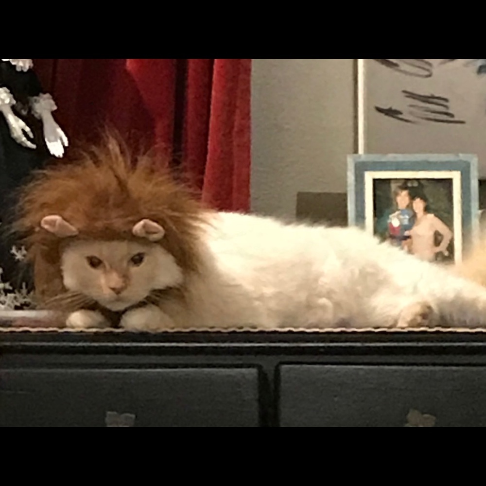 Meet your Posher, Marie-joÃ«lle